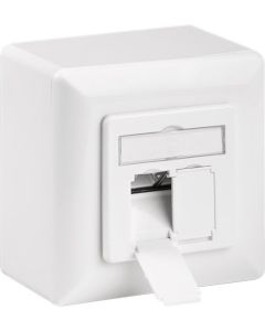 CAT 6 Yleisseinäkiinnike, valkoinen